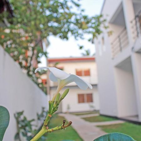 The Anchorage Holiday Apartments - ネゴンボ エクステリア 写真
